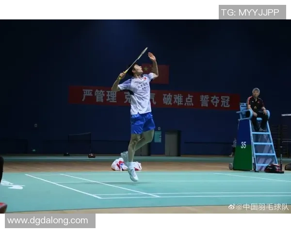 深入分析西安羽毛球队阵地战战术与技巧的专业解读