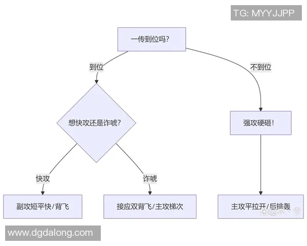 科学排球战术训练方法探索与实践提升竞技水平的有效策略