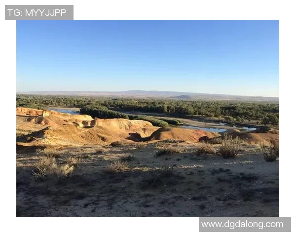 足球明星与啦啦队长的激情碰撞展现运动场上的无限魅力与团队精神